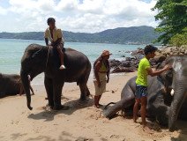 Phuket-Journeys-Tours-In-Action-22