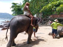 Phuket-Journeys-Tours-In-Action-23